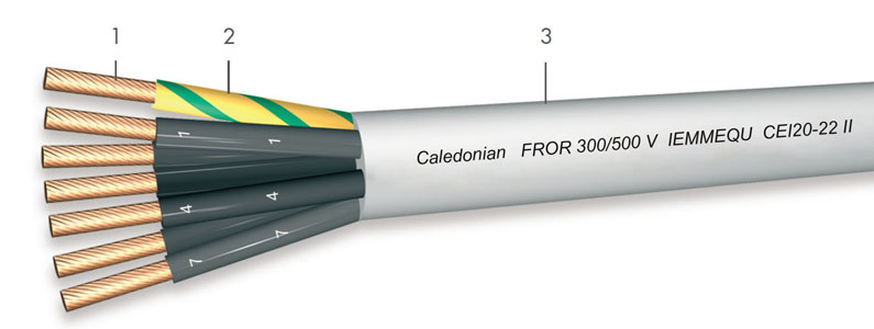 Click to view the big picture